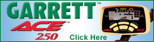 Garrett ACE 250